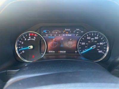 2020 Ford Super Duty F-250 SRW Platinum 4WD Crew Cab 6.75' Box