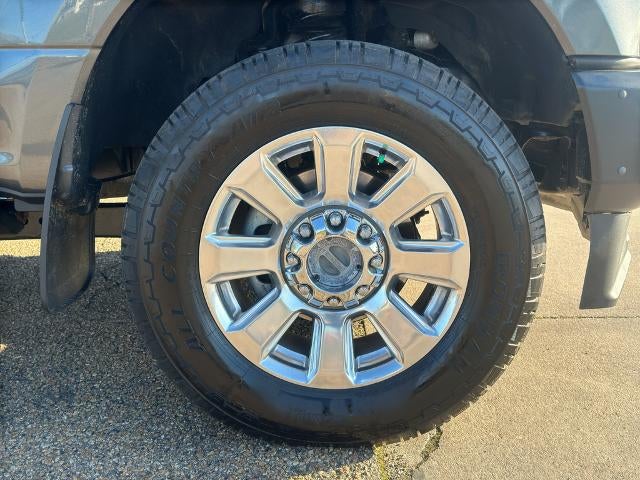 2020 Ford Super Duty F-250 SRW Platinum 4WD Crew Cab 6.75' Box