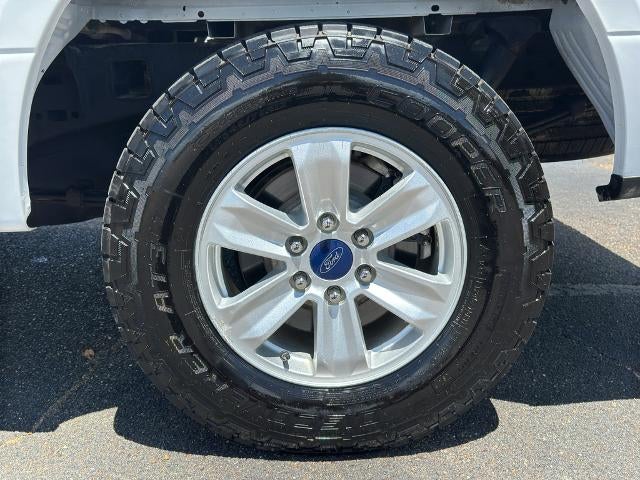 2019 Ford F-150 XL 2WD SuperCrew 5.5' Box