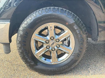 2024 Ford F-150 XLT 4WD SuperCrew 5.5' Box