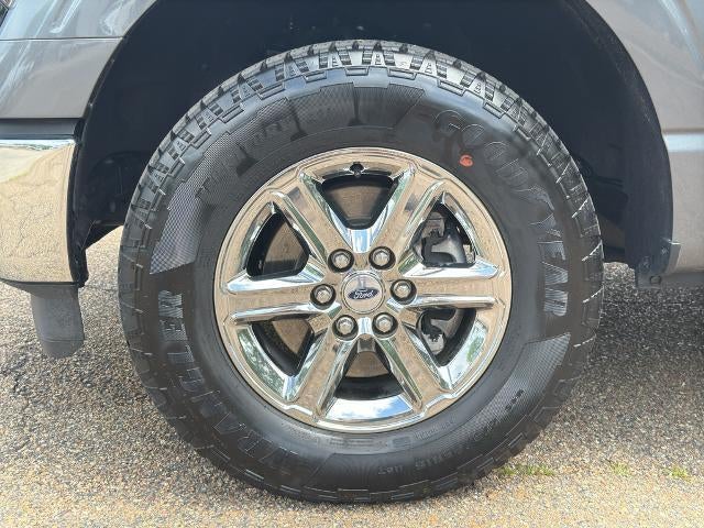 2024 Ford F-150 XLT 4WD SuperCrew 5.5' Box