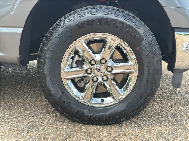 2024 Ford F-150 XLT 4WD SuperCrew 5.5' Box