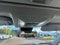 2024 Toyota RAV4 XLE Premium FWD (Natl)