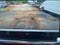 2025 Chevrolet Silverado 1500 Crew Cab Short Box 4-Wheel Drive LT Trail Boss