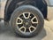 2019 Toyota Tundra 4WD 4WD SR5 CrewMax 5.5' Bed 5.7L (Natl)